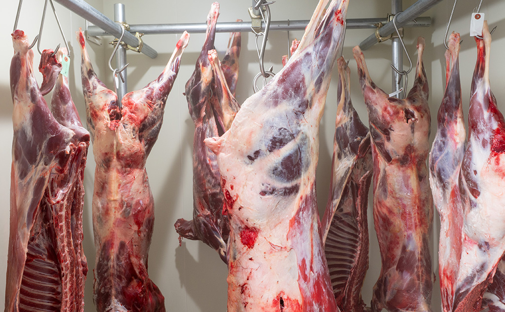 ジビエ肉の品質管理